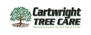 cartweight